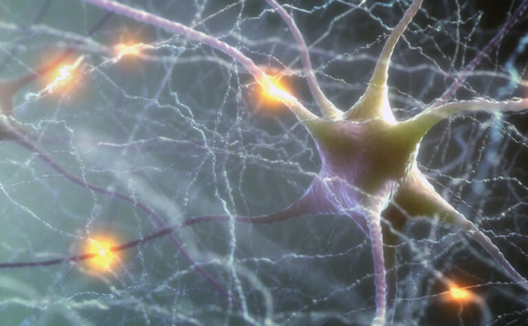 Neuron